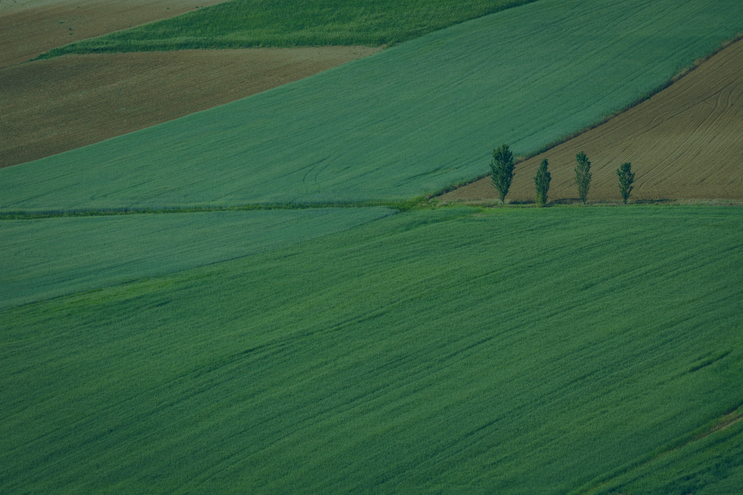 ERW Field Data Partnership Grants